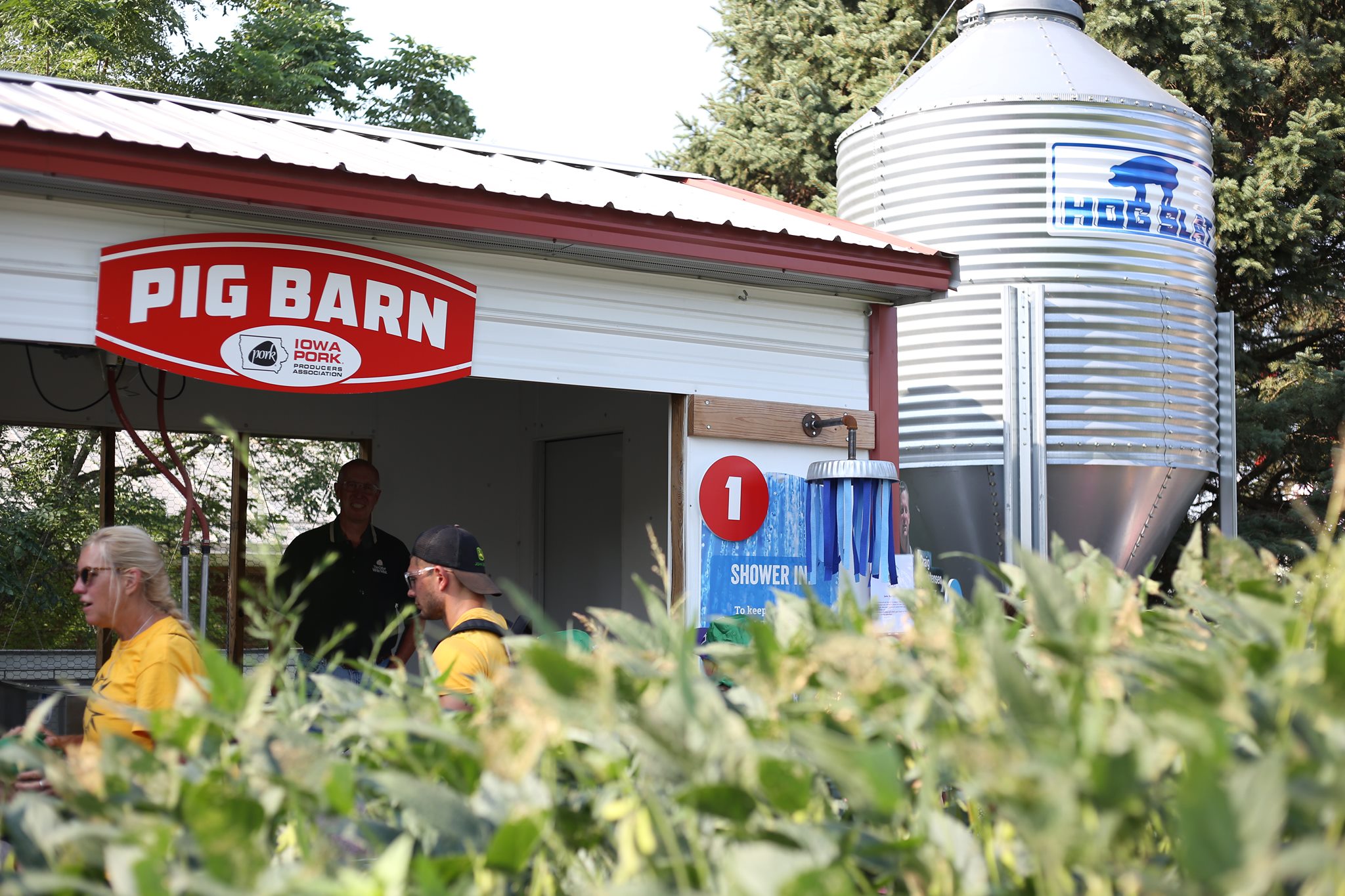 A view of the pig barn with soybeans in the foreground.