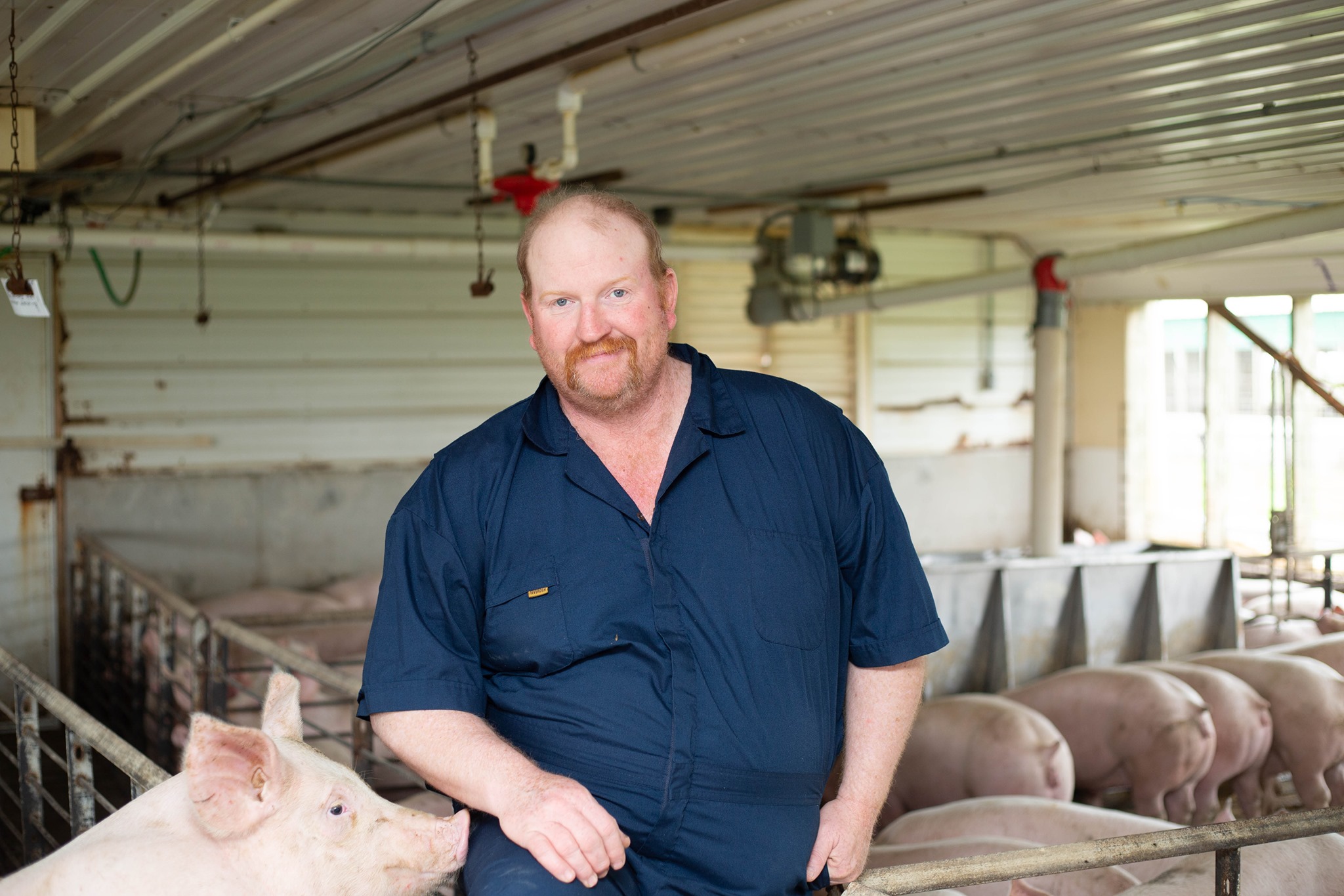 A man poses for a picture in a pig barn,