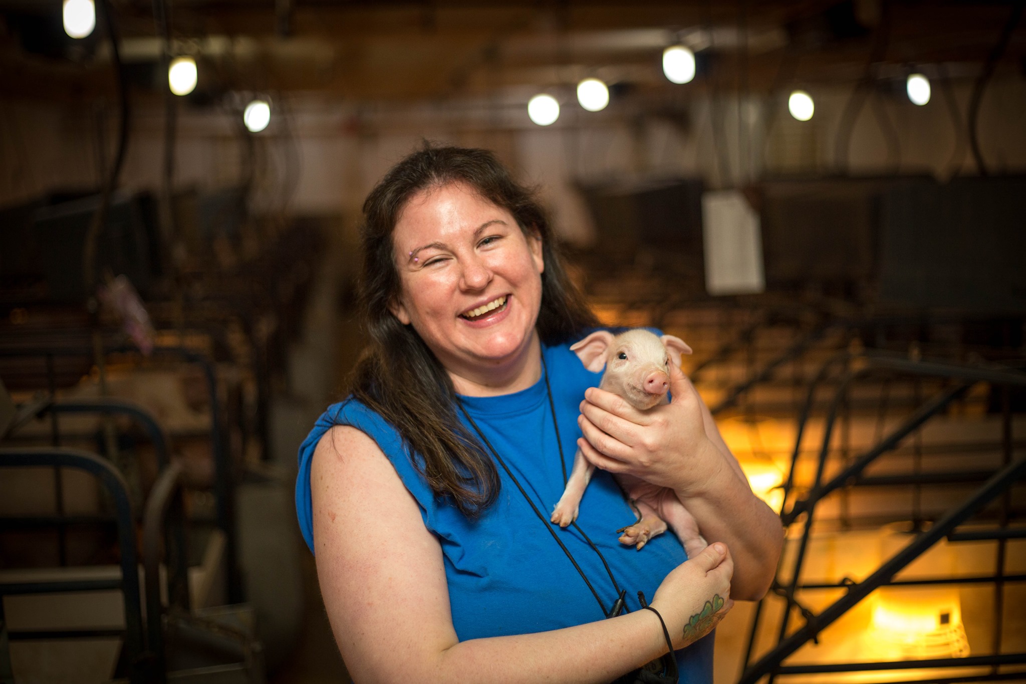 A team member holds a baby piglet.