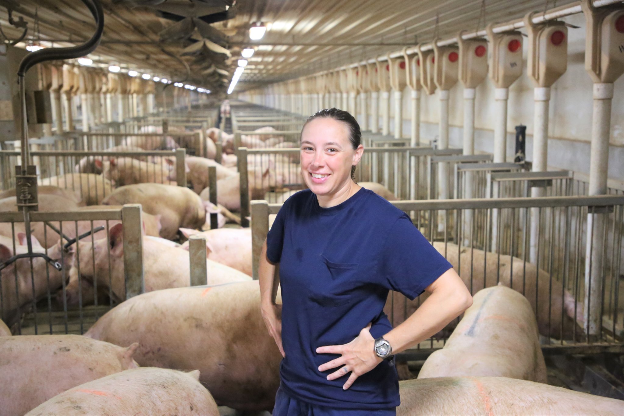 Primrose Sow Farm