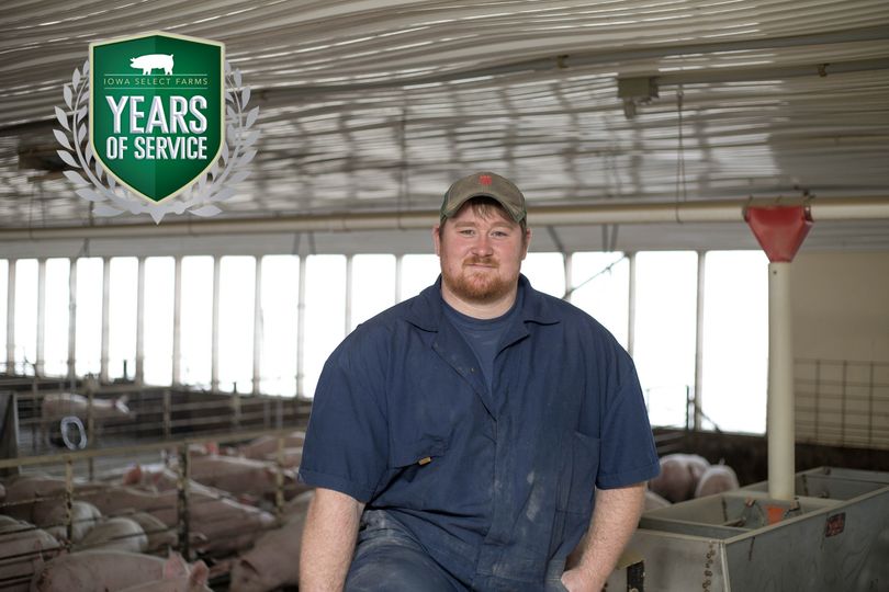 Brody standing in a sow farm