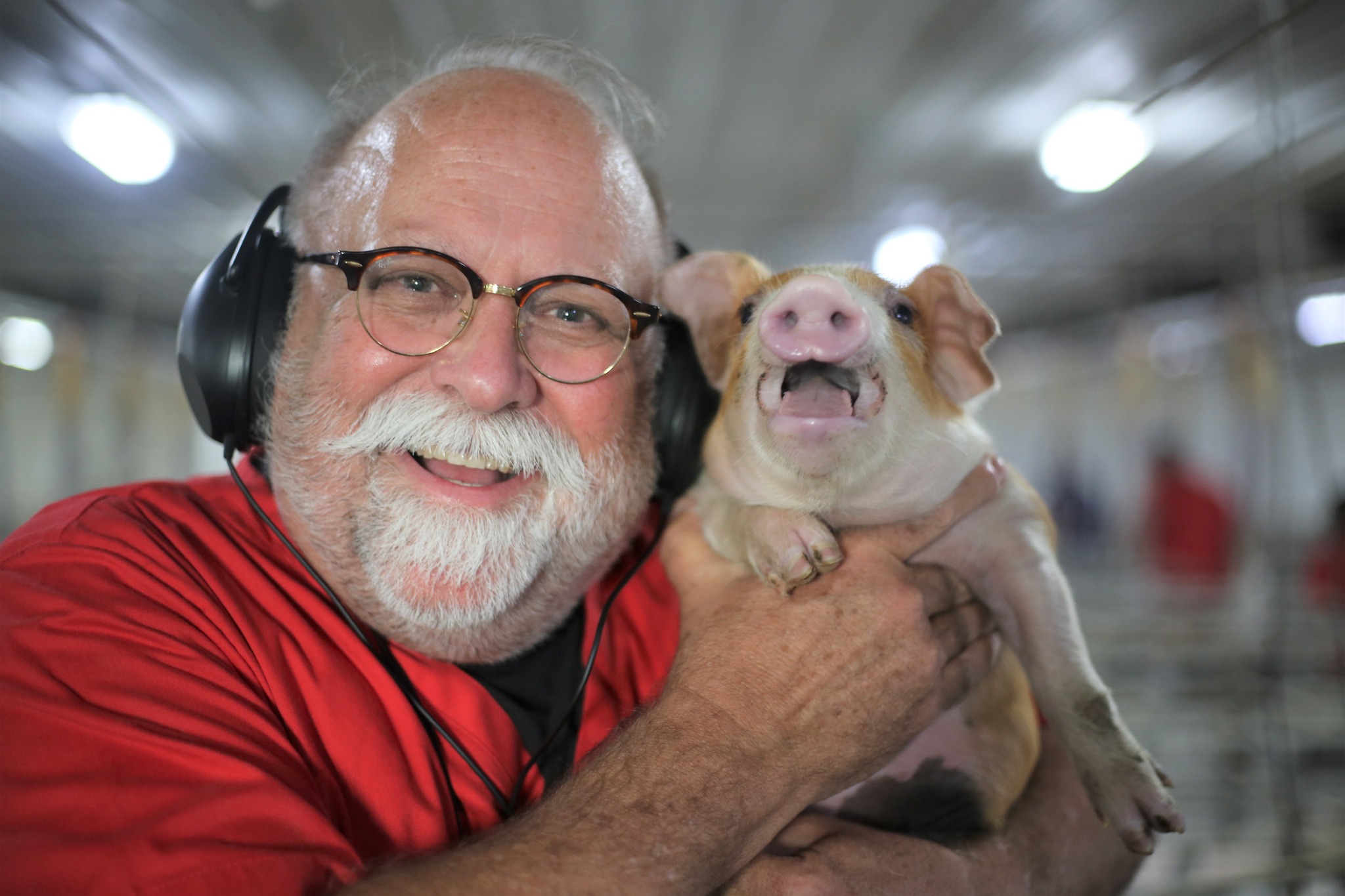 Smiling Visitor with piglet
