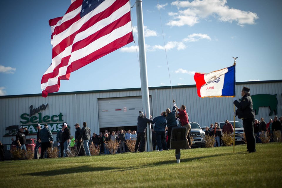 flags