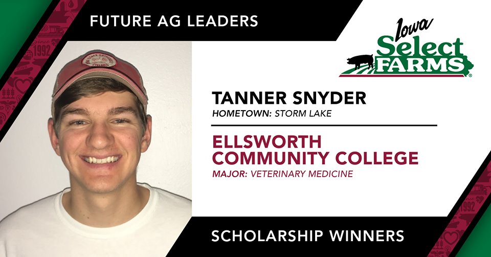tanner
