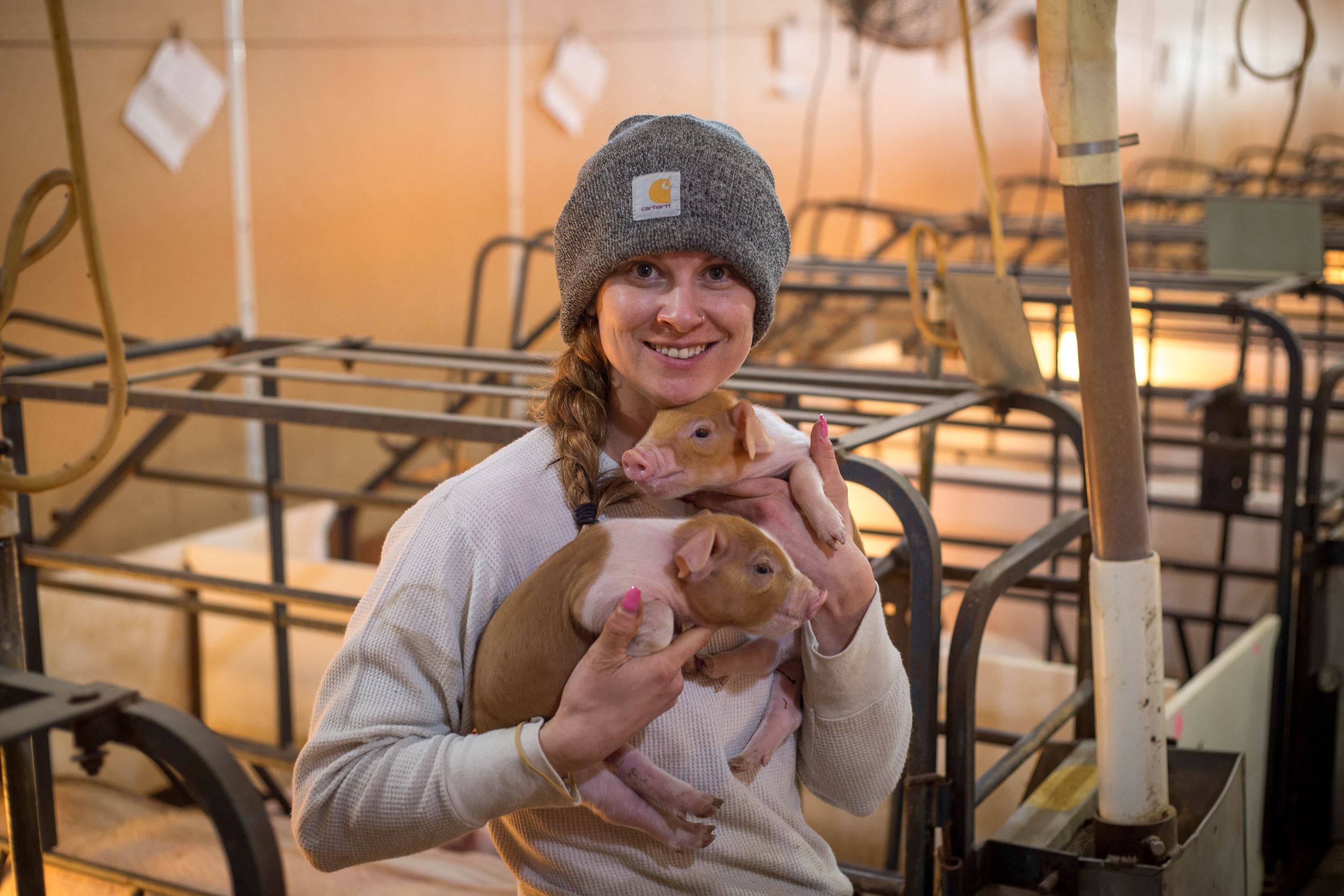 Bailey with piglets