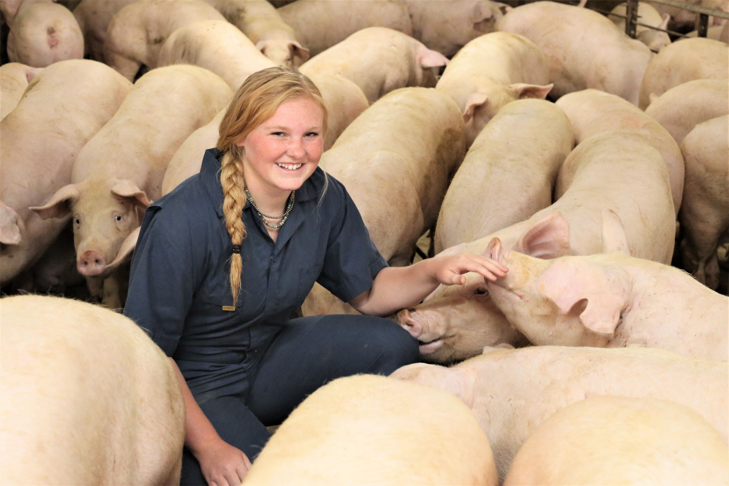 Kenzie kneels in a pen of sows