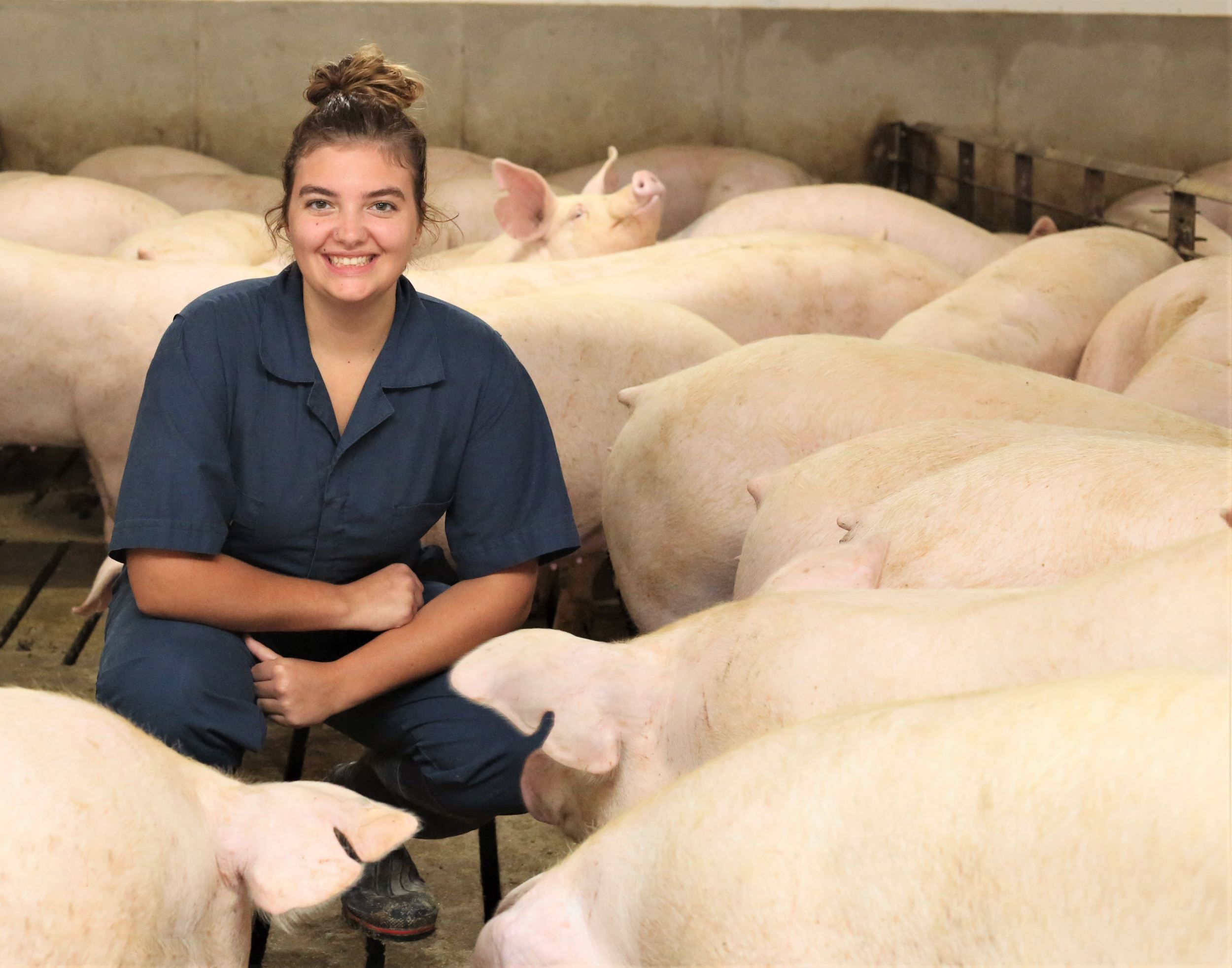 Lexi crouches next to some sows.