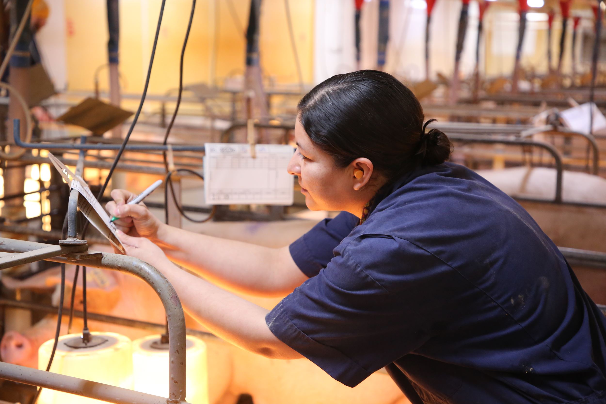 Flor working in the barn