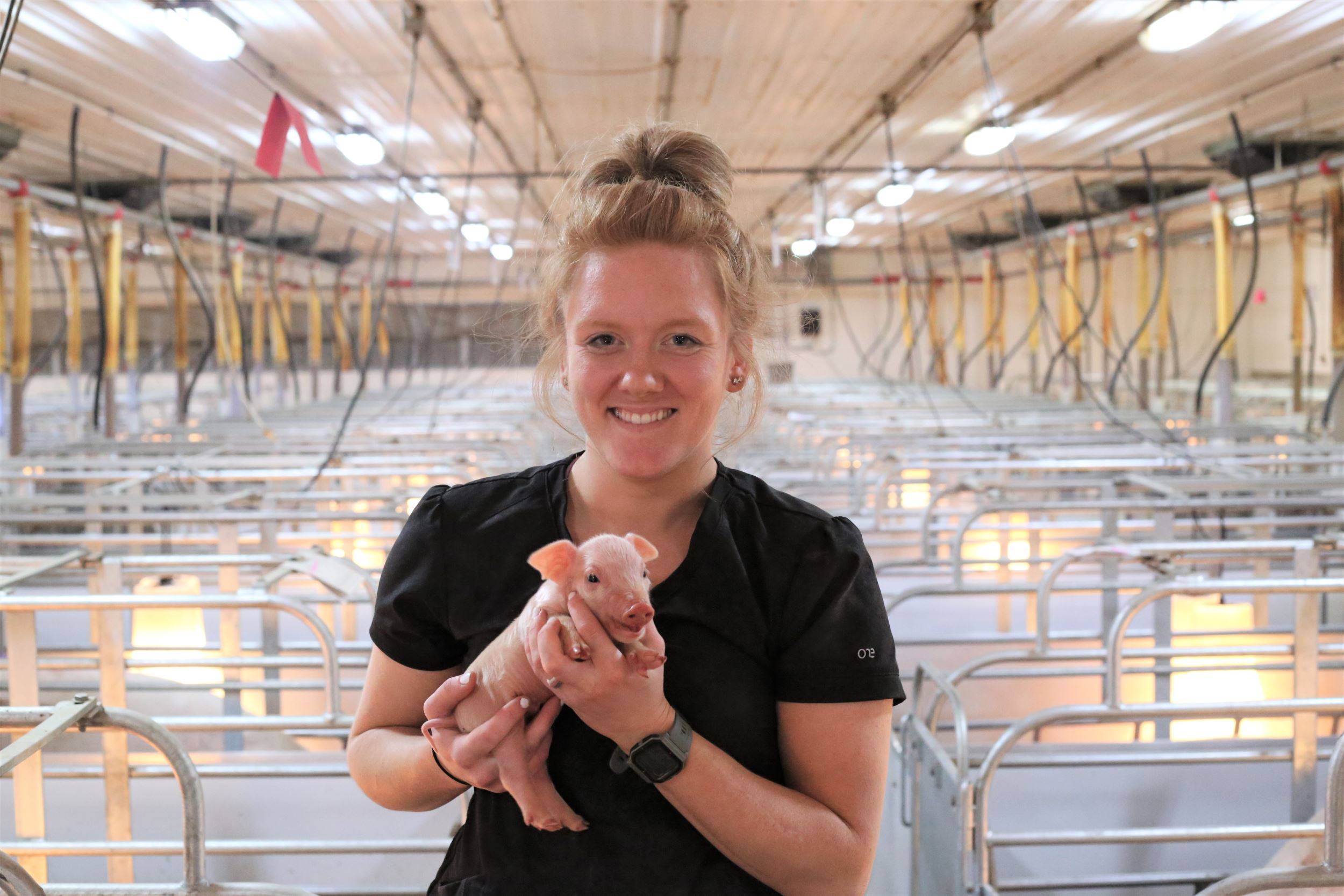holly holds a piglet