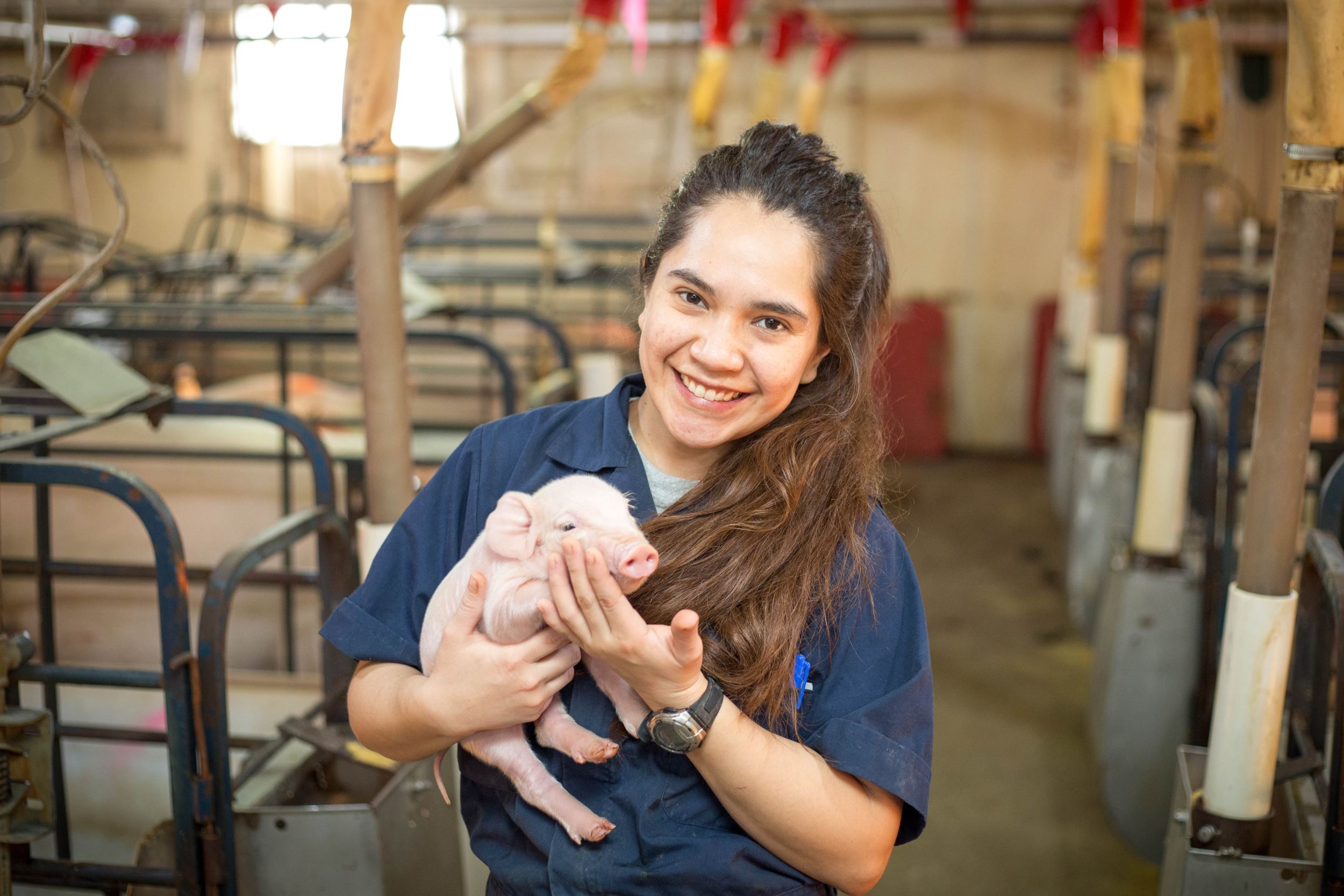 val holds a piglet