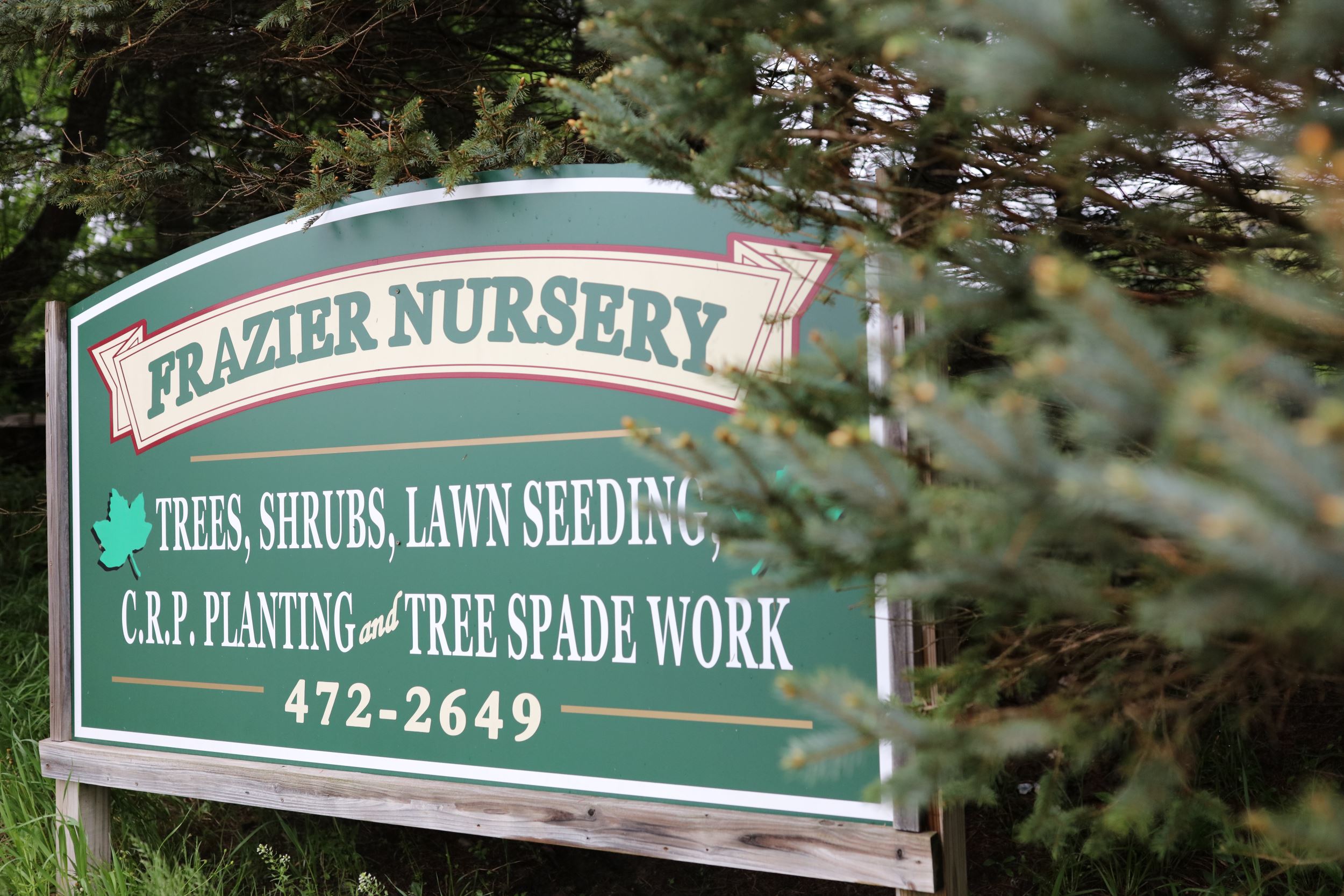 Frazier Nursery sign