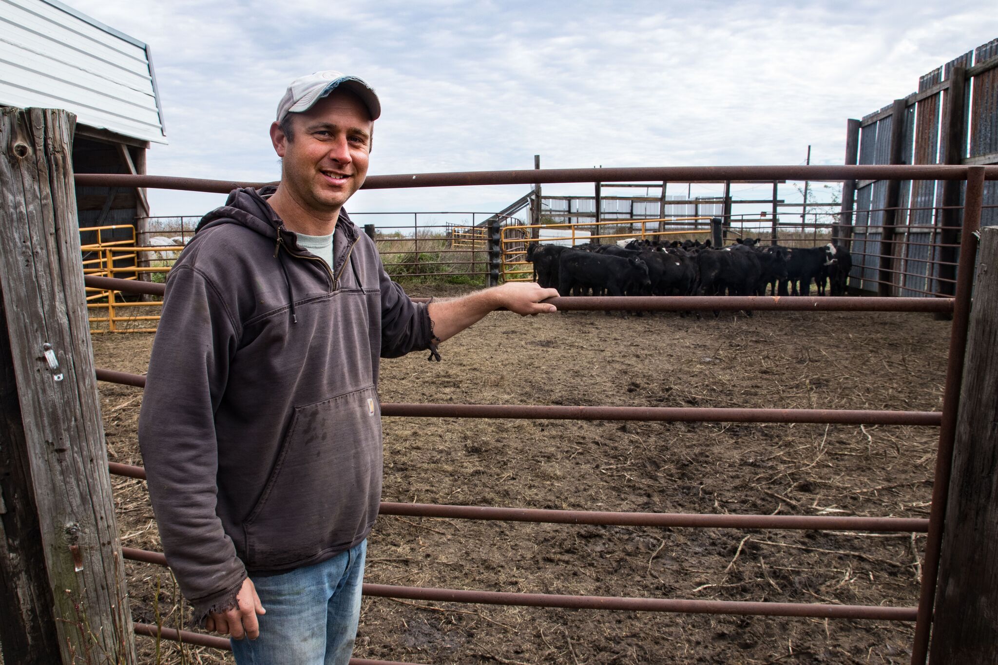 Brandon standing next to his cattle herd