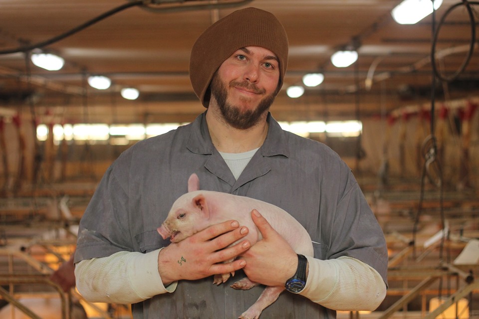 Piglet