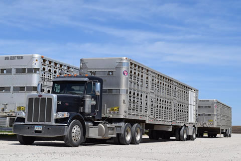 Trucking
