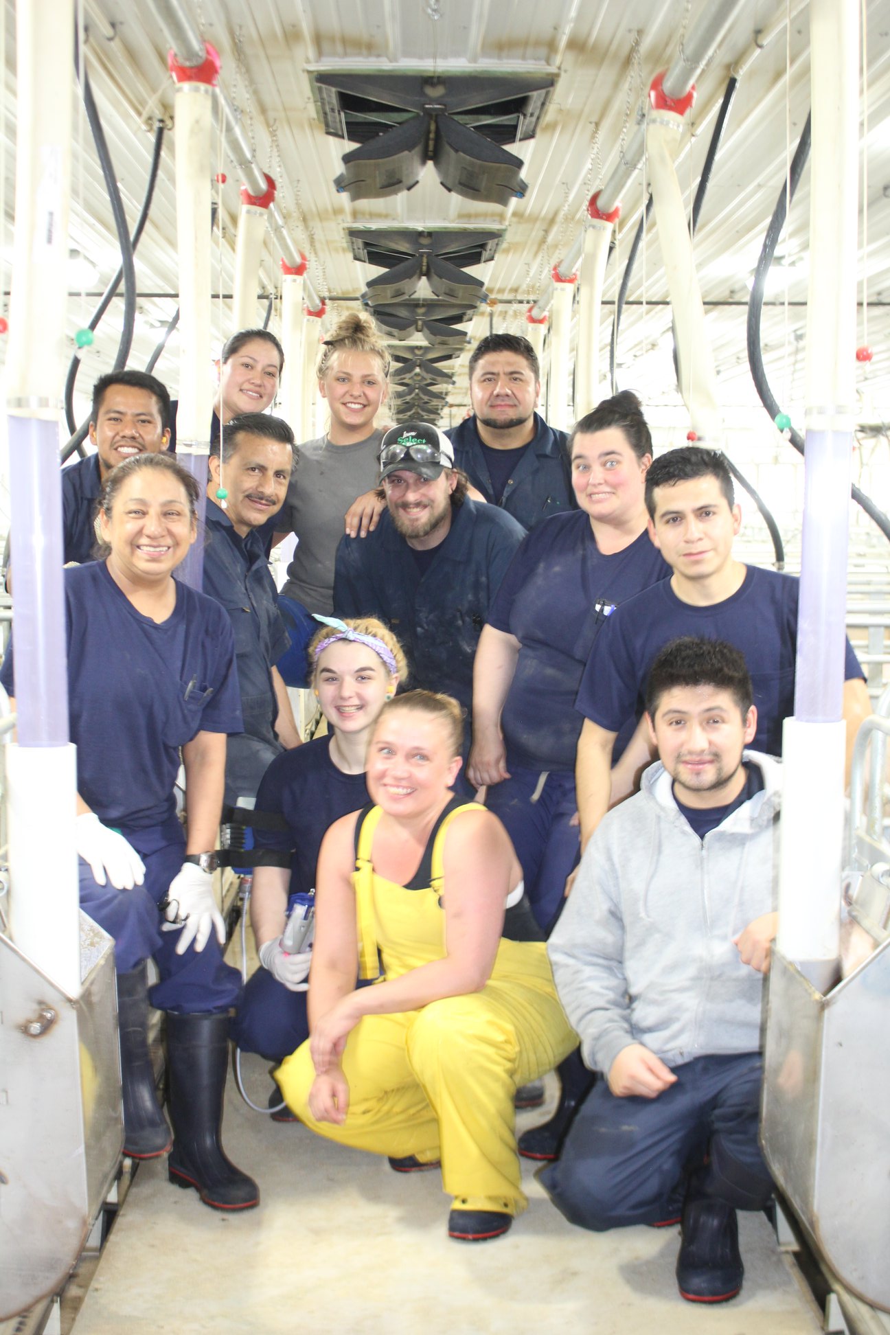 Farrowing Team