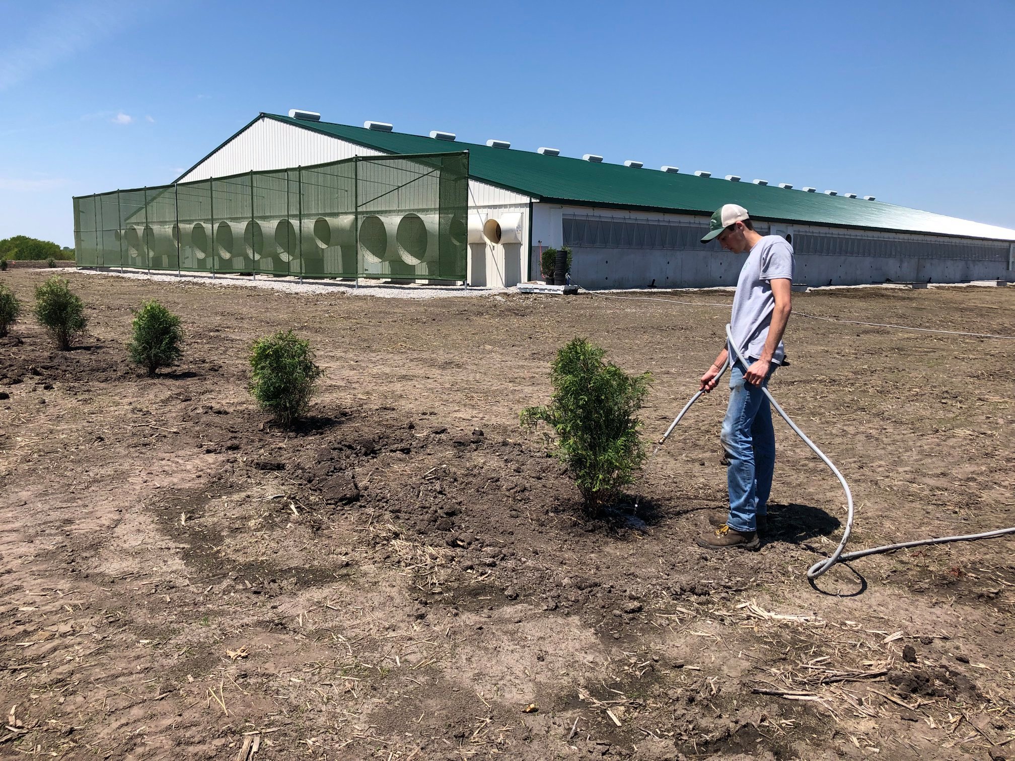Watering new trees at a new building site