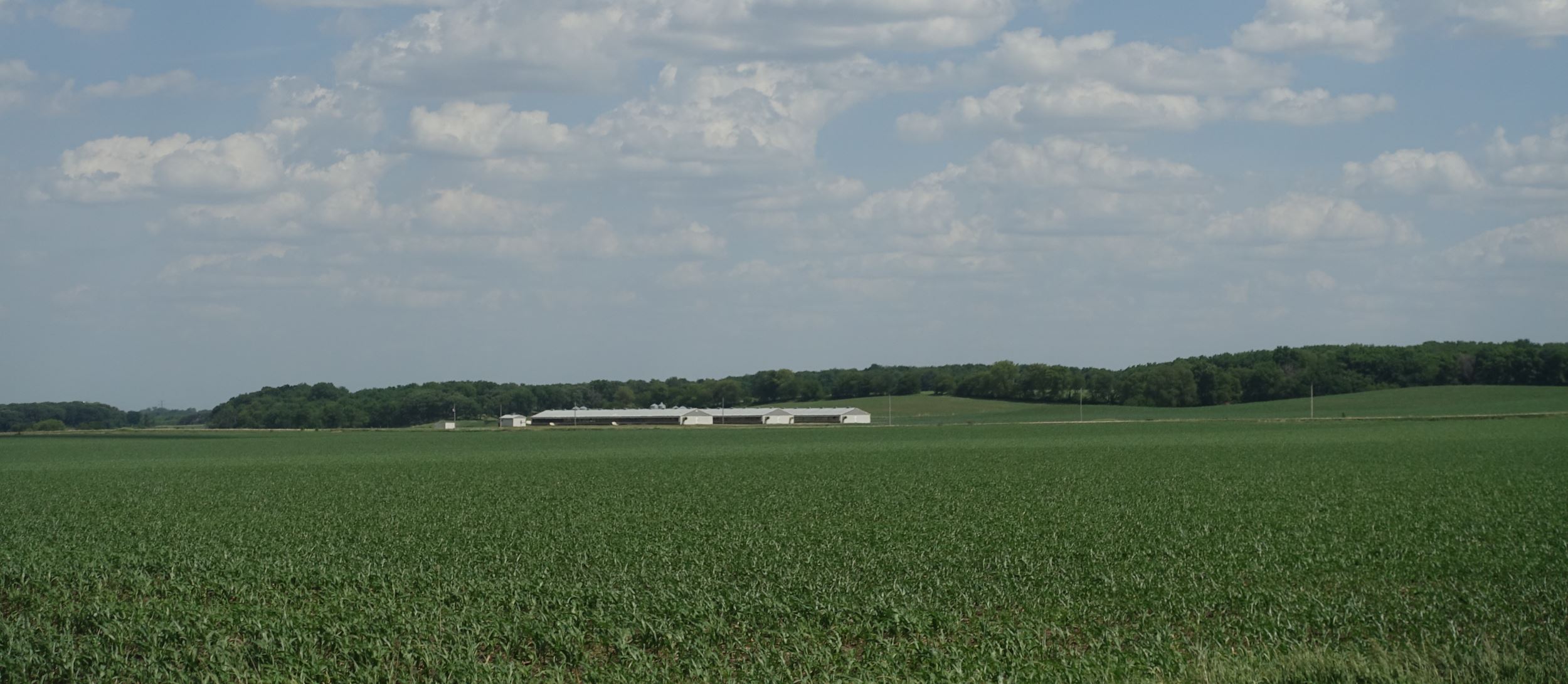 View of their farm