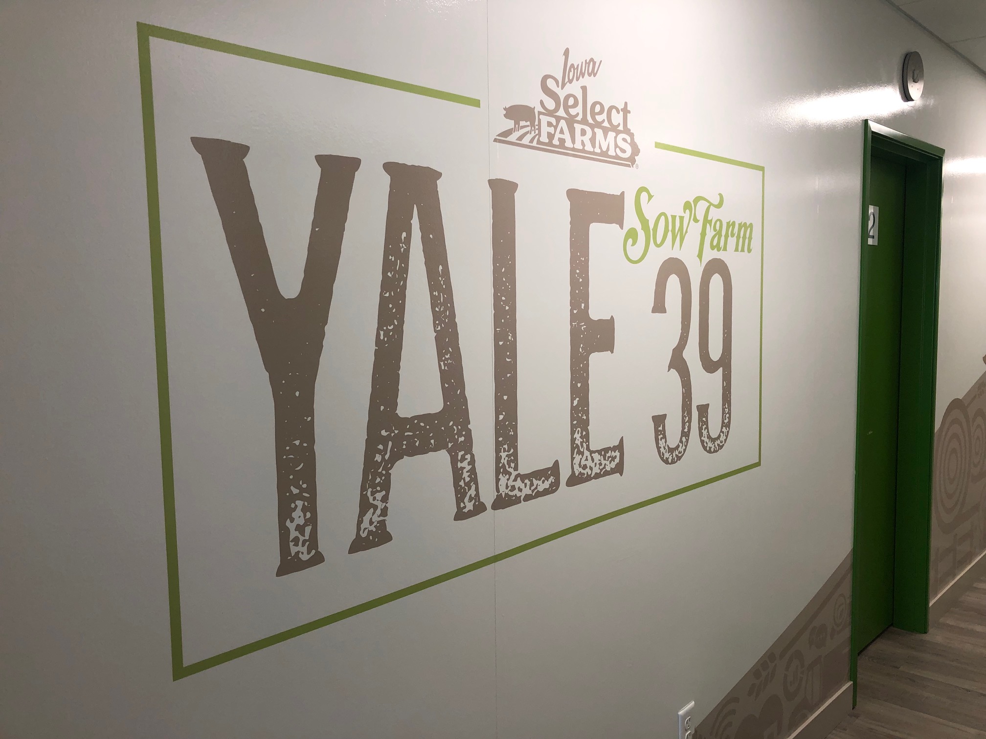 Yale— Sow Farm 39