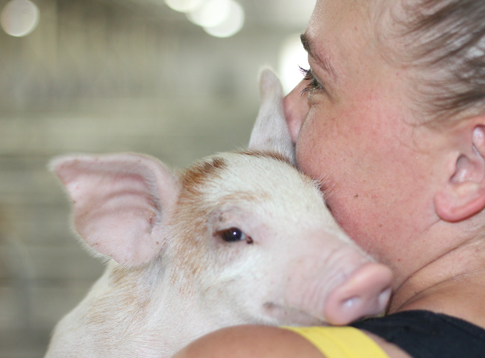This piglet was so content being held