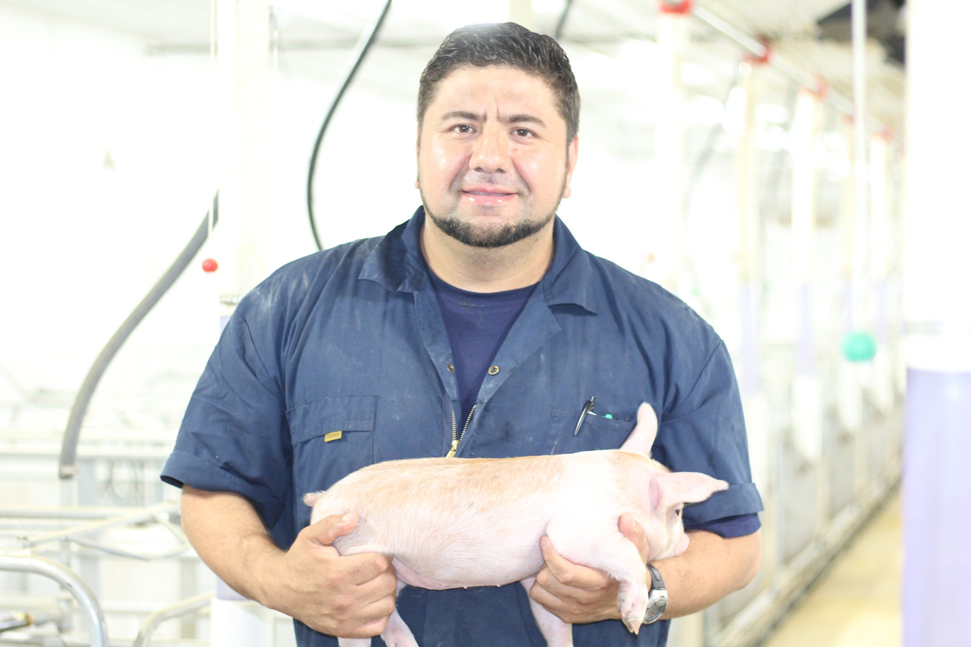 Farrowing department head, Hebert Aragon Nunez