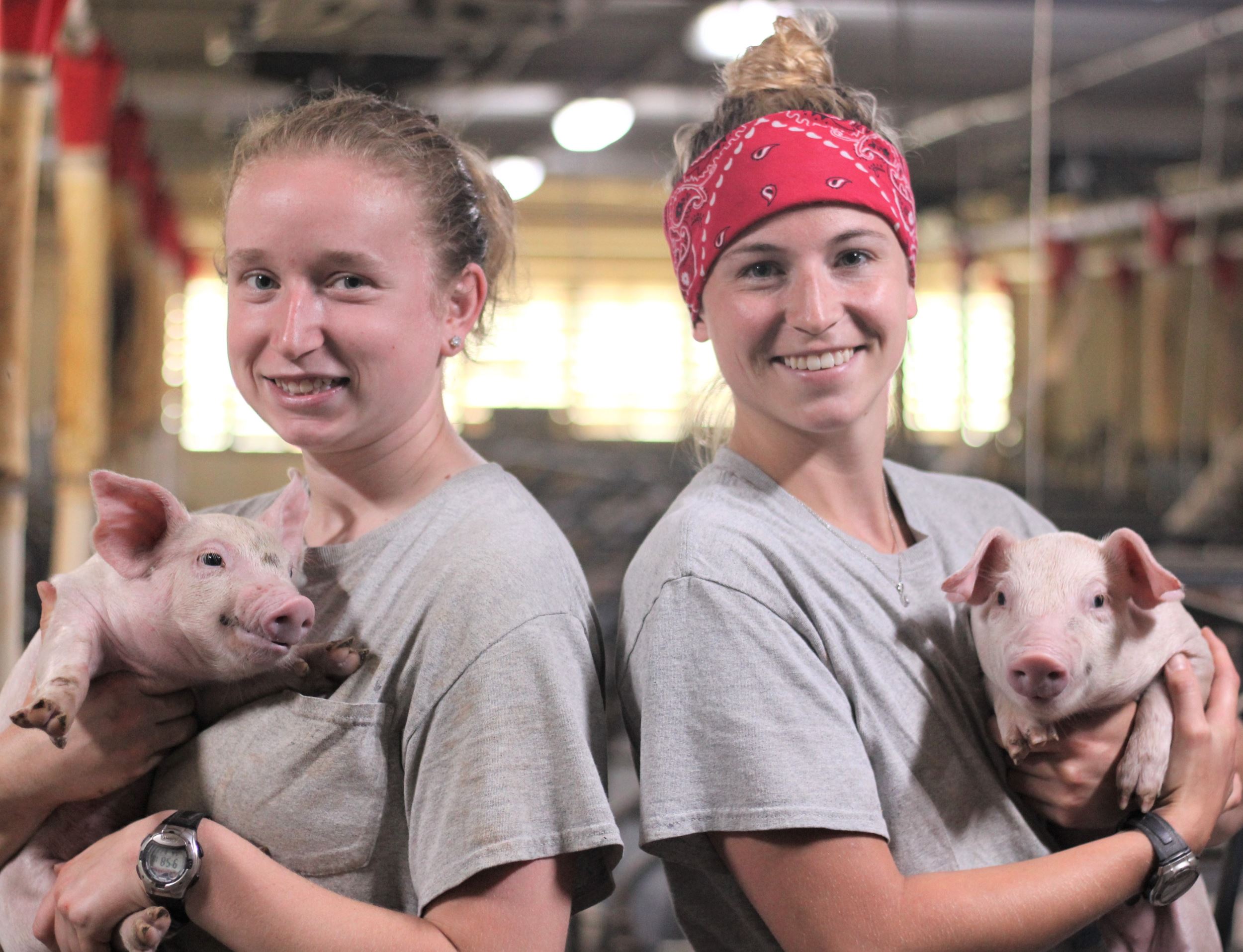 Two girls hold young pigs.